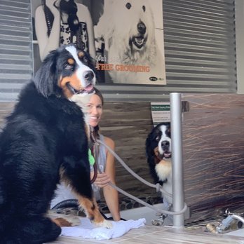 Dirty Dogs - Pet Groomers Near Me - Solana Beach, California