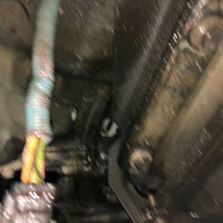 AAMCO Transmissions & Total Car Care