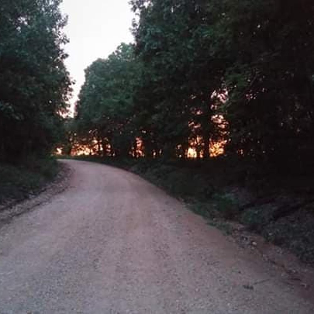 Homestead Crossing - My 'hood in the woods. The well-maintained county road in front of my land purchased from Homestead Crossing Inc. - Real Estate Services Near Me - Willow Springs, Missouri Homestead Crossing - My 'hood in the woods. The well-maintained county road in front of my land purchased from Homestead Crossing Inc. - Real Estate Services Near Me - Willow Springs, Missouri