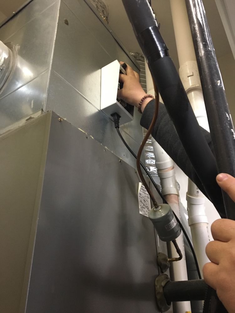 Slide of Alex Quality Services