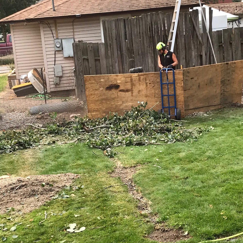 Brett's Tree Service - Tree Services Near Me Brett's Tree Service - Tree Services Near Me