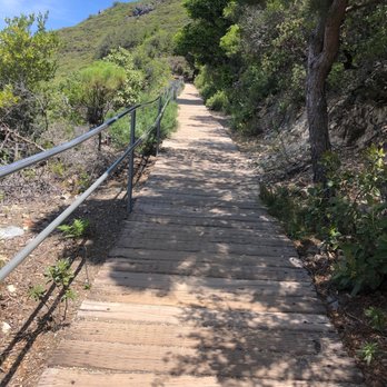Mount Tamalpais State Park - Parks Near Me - Mill Valley, California Mount Tamalpais State Park - Parks Near Me - Mill Valley, California