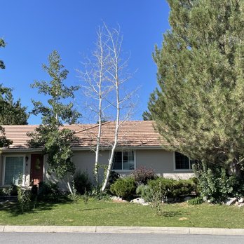 Expert Tree and Yard Service - The two trees taken down - Tree Services Near Me - Reno, Nevada