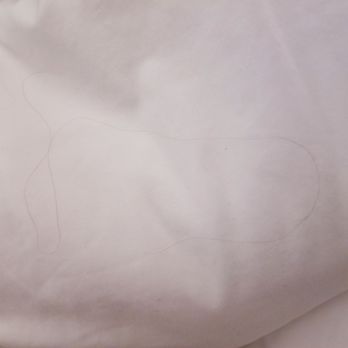 Cheeca Lodge & Spa - Pretty hair of the last person to stay in my bed! - Resorts Near Me - Islamorada, Florida Cheeca Lodge & Spa - Pretty hair of the last person to stay in my bed! - Resorts Near Me - Islamorada, Florida