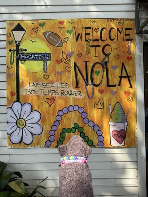 Sno-La Snowballs by null