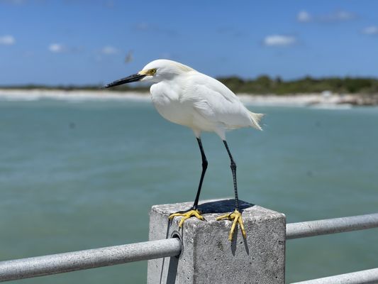 Fort De Soto Park by null
