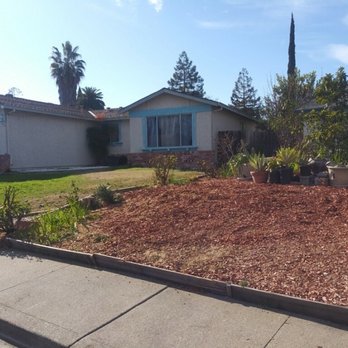 Green Lane Tree Service - AFTER - Franklin and his tree were excellent with removing the entire tree and left everything neat and clean! - Tree Services Near Me - Brentwood, California
