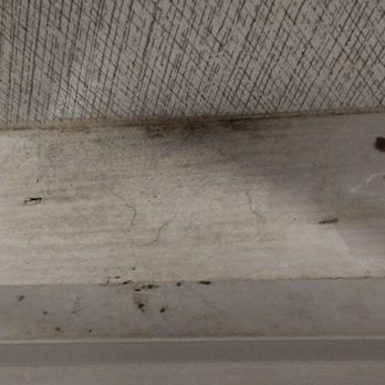 OptimumRV - Spartanburg - Mold on brand new 5th wheel which they have on the lot for resale - RV Dealers Near Me - Inman, South Carolina OptimumRV - Spartanburg - Mold on brand new 5th wheel which they have on the lot for resale - RV Dealers Near Me - Inman, South Carolina