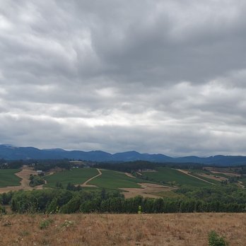 Backcountry Wine Tours - Wine Tours Near Me