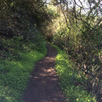 Backbone Trail - Green - Hiking Near Me - Malibu, California Backbone Trail - Green - Hiking Near Me - Malibu, California