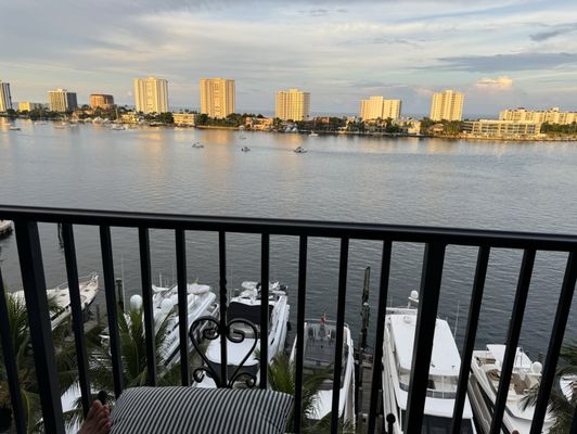 The Boca Raton by null