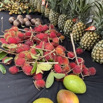 Haleiwa Fruit Shack - Juice Bars & Smoothies Near Me - Haleiwa, Hawaii Haleiwa Fruit Shack - Juice Bars & Smoothies Near Me - Haleiwa, Hawaii