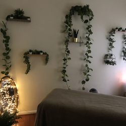 In Tune Wellness