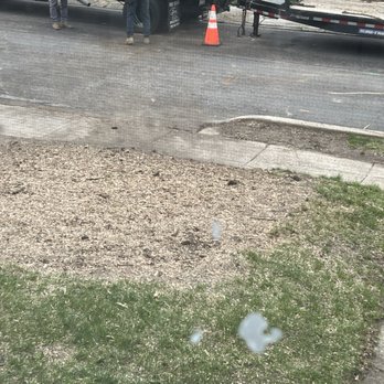 Jake's Tree Service - Finished tree and stump removal - Tree Services Near Me - Glen Mills, Pennsylvania Jake's Tree Service - Finished tree and stump removal - Tree Services Near Me - Glen Mills, Pennsylvania