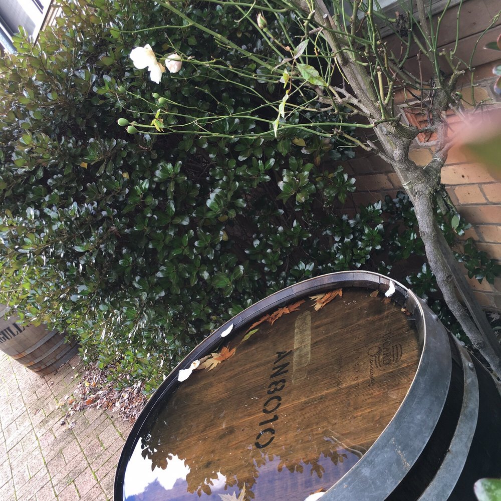 Angullong Cellar Door And Wine Tasting - Small but good looking courtyard ! - Wine Tasting Room Near Me - Millthorpe, NSW