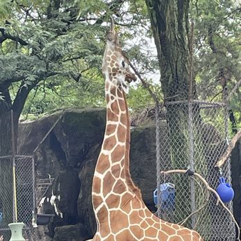 Philadelphia Zoo - Zoos Near Me - Philadelphia, Pennsylvania