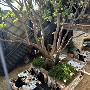 Mirate - Mexican Near Me - Los Angeles, California