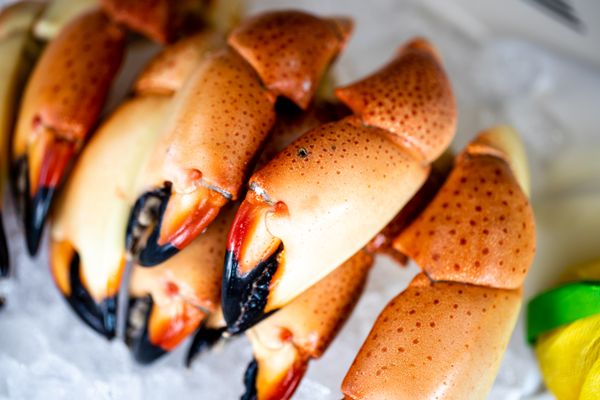 Truluck's Ocean's Finest Seafood and Crab by null