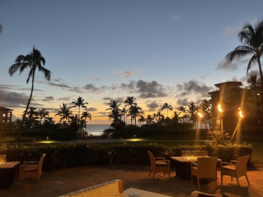 Cane & Canoe by null