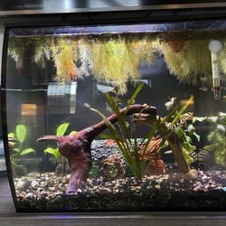 Marine Warehouse Aquarium - Update of current business photo