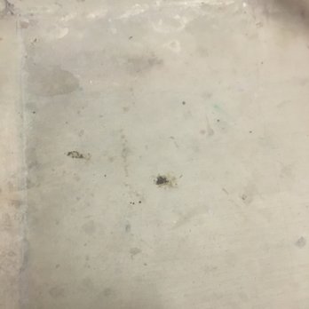 Inspire Downtown - Feces in stairwell. - Apartments Near Me - San Antonio, Texas Inspire Downtown - Feces in stairwell. - Apartments Near Me - San Antonio, Texas