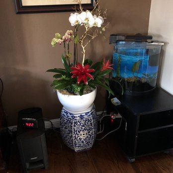 Flowers By Ivy - Florists Near Me - San Jose, California Flowers By Ivy - Florists Near Me - San Jose, California