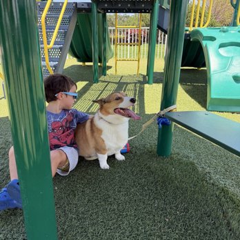 Puppies To Go - Pet Stores Near Me - Miami, Florida Puppies To Go - Pet Stores Near Me - Miami, Florida