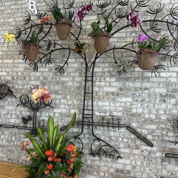 Cleveland Botanical Garden - Orchid display - Botanical Gardens Near Me - Cleveland, Ohio