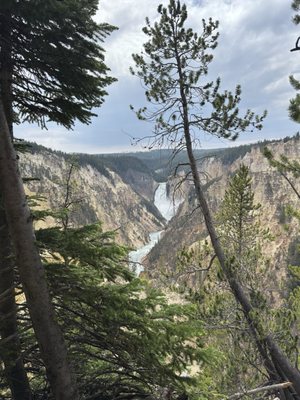 Grand Canyon of the Yellowstone by null