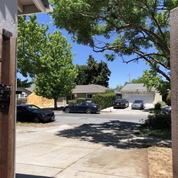 Ismael Gonzalez Tree Services - After - Tree Services Near Me - San Jose, California Ismael Gonzalez Tree Services - After - Tree Services Near Me - San Jose, California