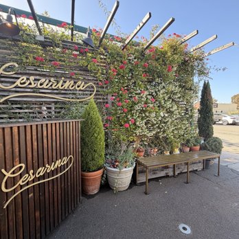 Cesarina - Italian Near Me - San Diego, California