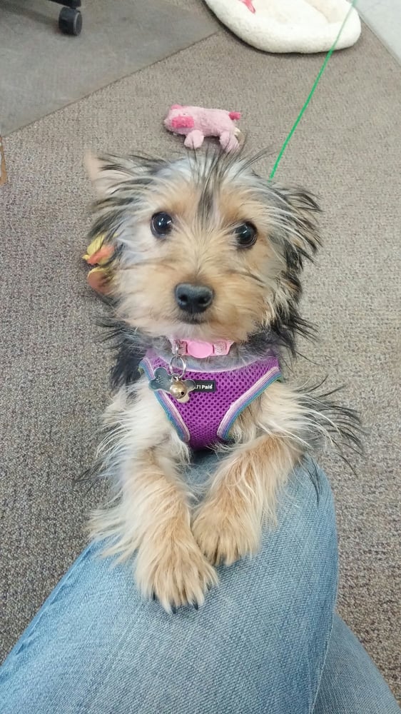 A1 AUTO GLASS Updated October 2024 1999 San Juan Blvd, Farmington