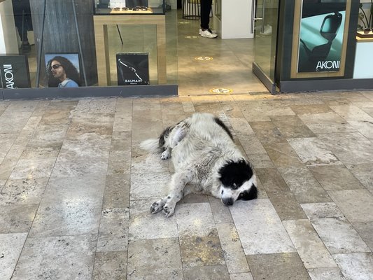 Yalıkavak Marina by null