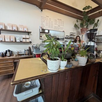 Cafe Cinco Siete - Coffee & Tea Near Me - Portland, Oregon Cafe Cinco Siete - Coffee & Tea Near Me - Portland, Oregon