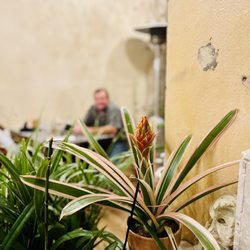 The Fort Steakhouse - Bromeliad with my sweet man smiling behind.