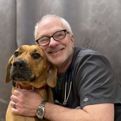Westside Pet Hospital