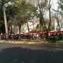 Photo of Tianguis Plutarco Elías Calles.