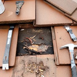 Sol Solar & Gutter Maintenance - Roof Leak Repair