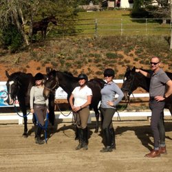 Phoenix Mccormack Dressage - Dressage Clinic