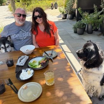 Bear at Stanly Ranch - Lunch for the pups and appetizers for us. - New American Near Me - Napa, California