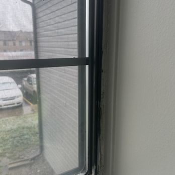 Garfield Commons - This is a photo of black mold growing around the windowsill. - Apartments Near Me - Clinton Twp, Michigan Garfield Commons - This is a photo of black mold growing around the windowsill. - Apartments Near Me - Clinton Twp, Michigan