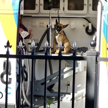 Mobile Dog Grooming  - Pet Groomers Near Me - Irvine, California