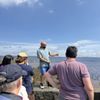 Wasabi Tours Hawaii gift card