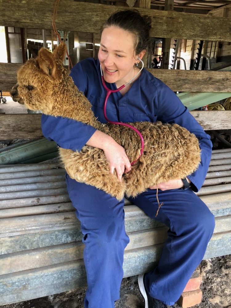 NORTH COAST VETERINARY SERVICES 233 Gulgan Rd, Brunswick Heads New South Wales, Australia