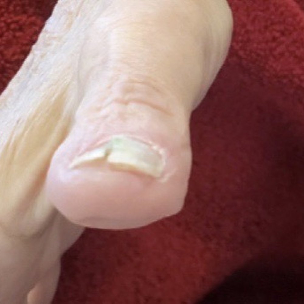 Q Nail Spa - Nail Salons Near Me - Meridian, Idaho Q Nail Spa - Nail Salons Near Me - Meridian, Idaho