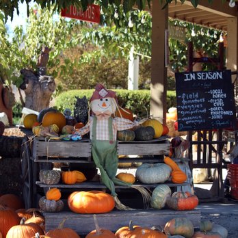 Farm Stand West, Fresh Produce, Pumpkin Patch, Christmas Trees - The farm stand is lovely - Fruits & Veggies Near Me - Escondido, California Farm Stand West, Fresh Produce, Pumpkin Patch, Christmas Trees - The farm stand is lovely - Fruits & Veggies Near Me - Escondido, California