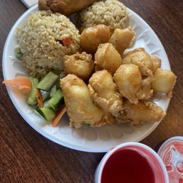 11. Sweet and Sour Chicken Lunch 11. Sweet and Sour Chicken Lunch
