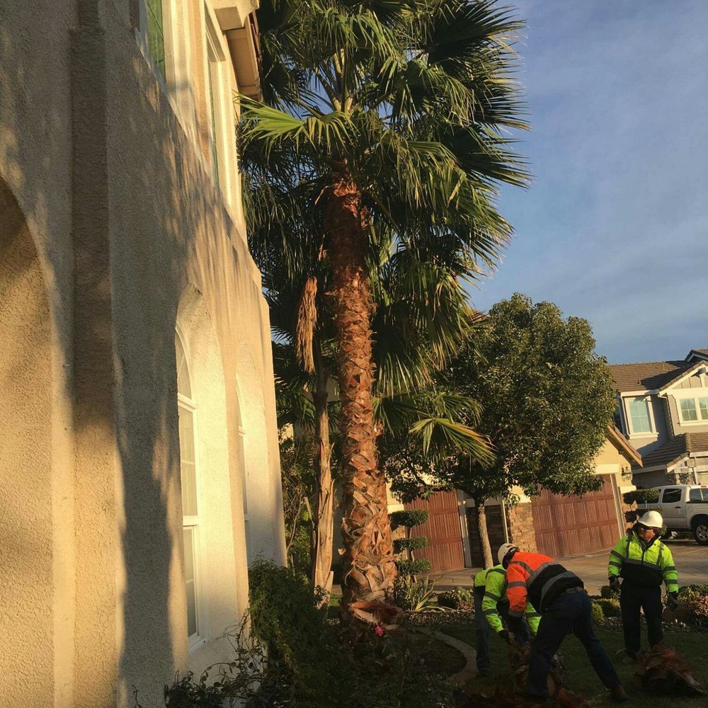 Turf-N-Tree - Landscaping Near Me - Tracy, California