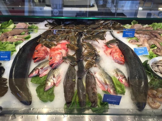 Hapuku Fish Shop by null