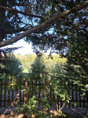 Red Apple Farm by null